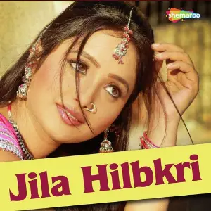Jila Hilbkri image