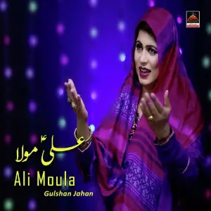 Ali Moula image