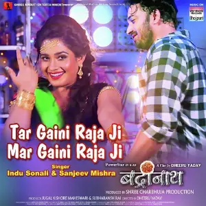Tar Gaini Raja Ji Mar Gaini Raja Ji image