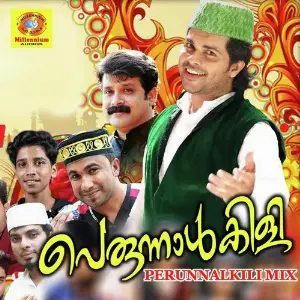 Perunnalkili Mix image