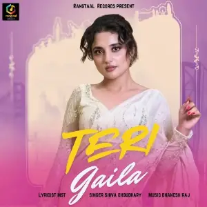Teri Gaila image