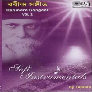 Soft Instrumentals Rabindra Sangeet (Vol. 2) image