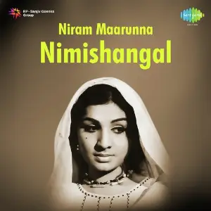 Niram Maarunna Nimishangal image