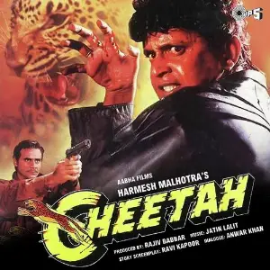 Cheetah image