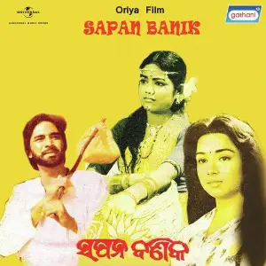 Sapan Banik image