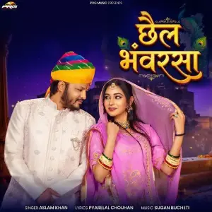 Chhail Bhanwarsa image