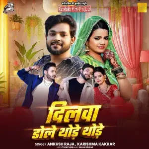 Dilwa Dole Thode Thode image