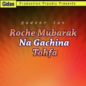 Roche Mubarak Na Gachina Tohfa image