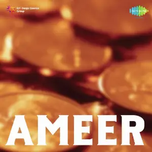 Ameer image