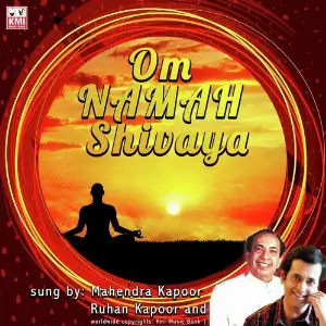 Om Namah Shivaya image