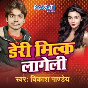 Dairy Milk Lageli image