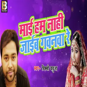 Mai Hum Naahi Jaaib image