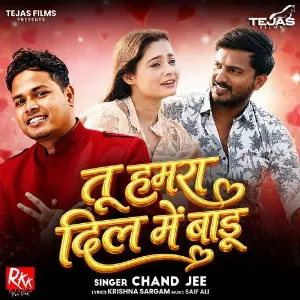Tu Hamra Dil Me Badu image
