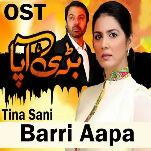 Dil E Nadan Tujhe Howa (From Barri Aapa) image