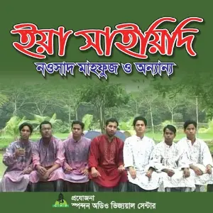 Iya Sayedee image