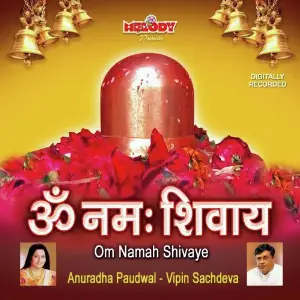 Om Namah Shivaye image