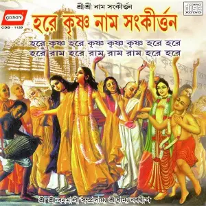 Hare Krishna Naam Sankirtan image