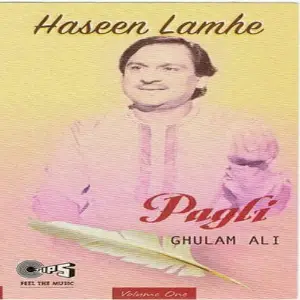Anjuman Ghulam Ali image