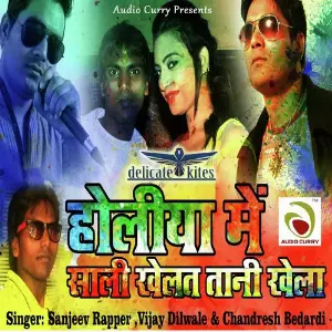 Holiya Me Sali Khelatani Khela image