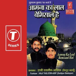 Aamna Ka Laal Bemisaal Hai image