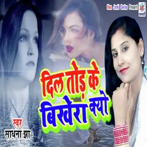 Dil Tod Ke Bikhera Kyo image