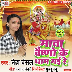 Mata Vaishno Ke Dham Gai Re image