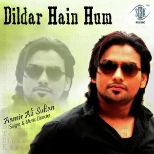 Dildar Hain Hum image