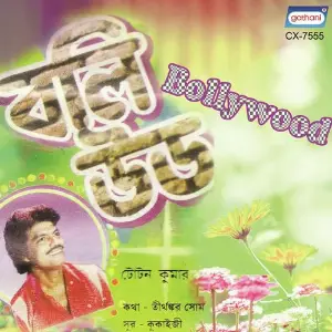 Boliwood image