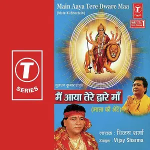 Main Aaya Tere Dware Maa image
