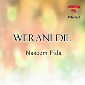 Werani Dil, Vol. 1 image