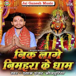 Nik Lage Nimhara Ke Dham image
