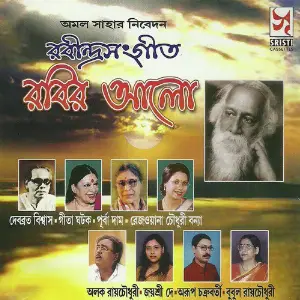 Rabir Aalo image