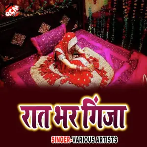 Raat Bhar Ginja image