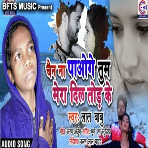 Chain na Paoge Tum Mera Dil Tod Ke image