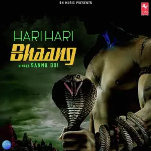 Hari Hari Bhaang - Single image