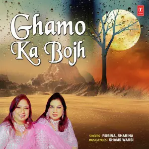 Ghamo Ka Bojh image