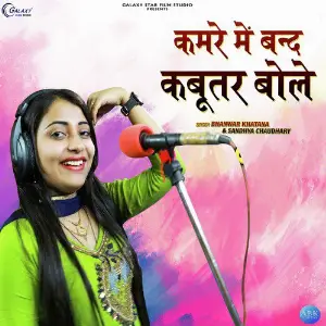 Kamre Me Band Kabootar Bole - Single image