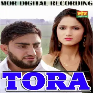 Tora image