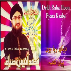 Dekh Raha Hoon Pyara Kaaba image