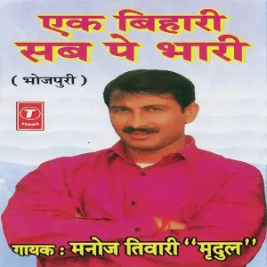 Ek Bihari Sab Pe Bhaari image