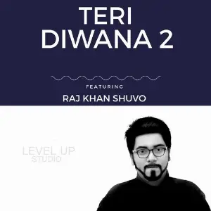 Teri Diwana 2 image