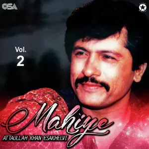 Mahiye, Vol. 2 image