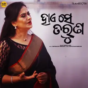 Hai Se Taruna image