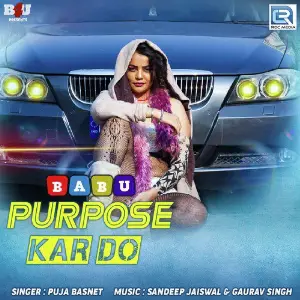 Babu Purpose Kar Do image