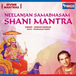 Neelanjan Samabhasam - Shani Mantra image