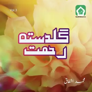 Guldasta E Rehmat, Vol. 3 image