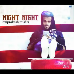 Night Night image