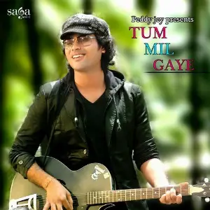 Tum Mil Gaye image