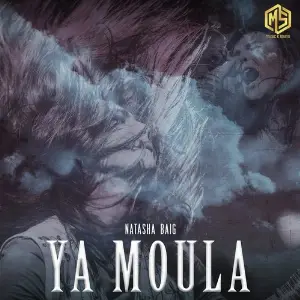 Ya Moula image