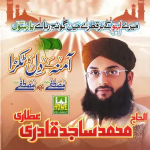Amina Ke Dil Ka Tukra Mustafa Hai image